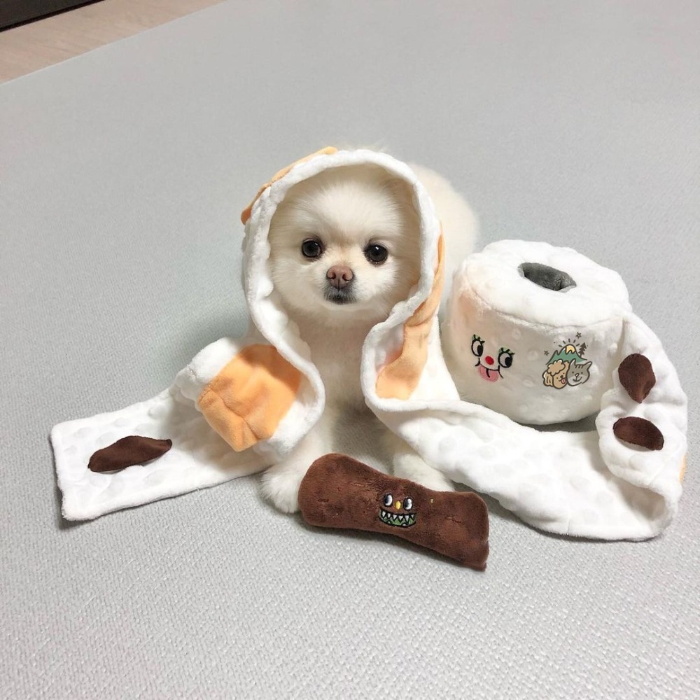 【汪喵森活】捲筒衛生紙 寵物嗅聞玩具 藏食玩具 衛生紙 狗玩具 寵物玩具 藏食娃娃 捲紙玩具 嗅食玩具 益智 發聲玩具-細節圖8