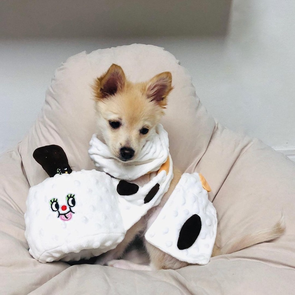 【汪喵森活】捲筒衛生紙 寵物嗅聞玩具 藏食玩具 衛生紙 狗玩具 寵物玩具 藏食娃娃 捲紙玩具 嗅食玩具 益智 發聲玩具-細節圖11