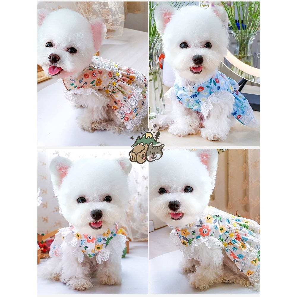 【汪喵森活】 無盡夏日 3色碎花裙 花花蕾絲 仙女洋裝 寵物洋裝 寵物服飾 狗衣服 比熊 貴賓 貓咪 小型犬 婚禮 結婚-細節圖3