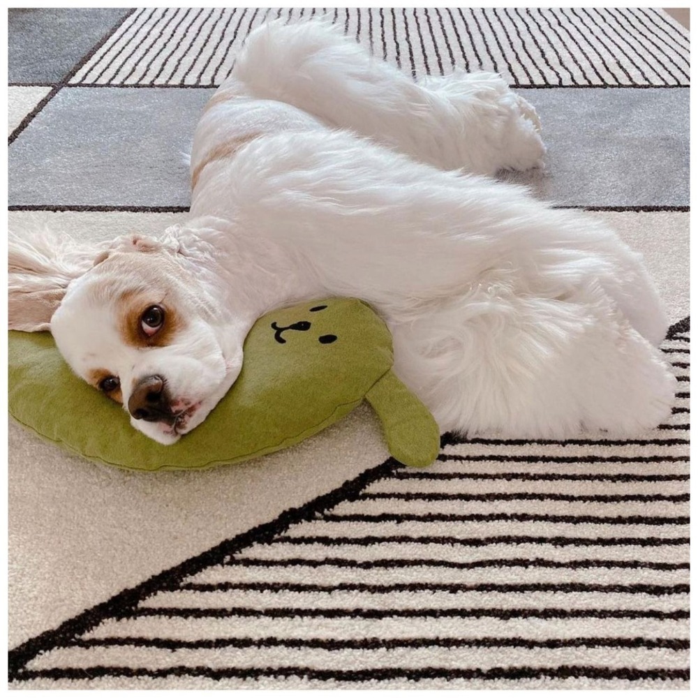 【汪喵森活】 13色 寵物枕頭 寵物靠枕 寵物抱枕 狗狗枕頭 U型枕 貓咪枕頭 保護頸椎 寵物窩 寵物護頸枕 寵物小枕頭-細節圖8