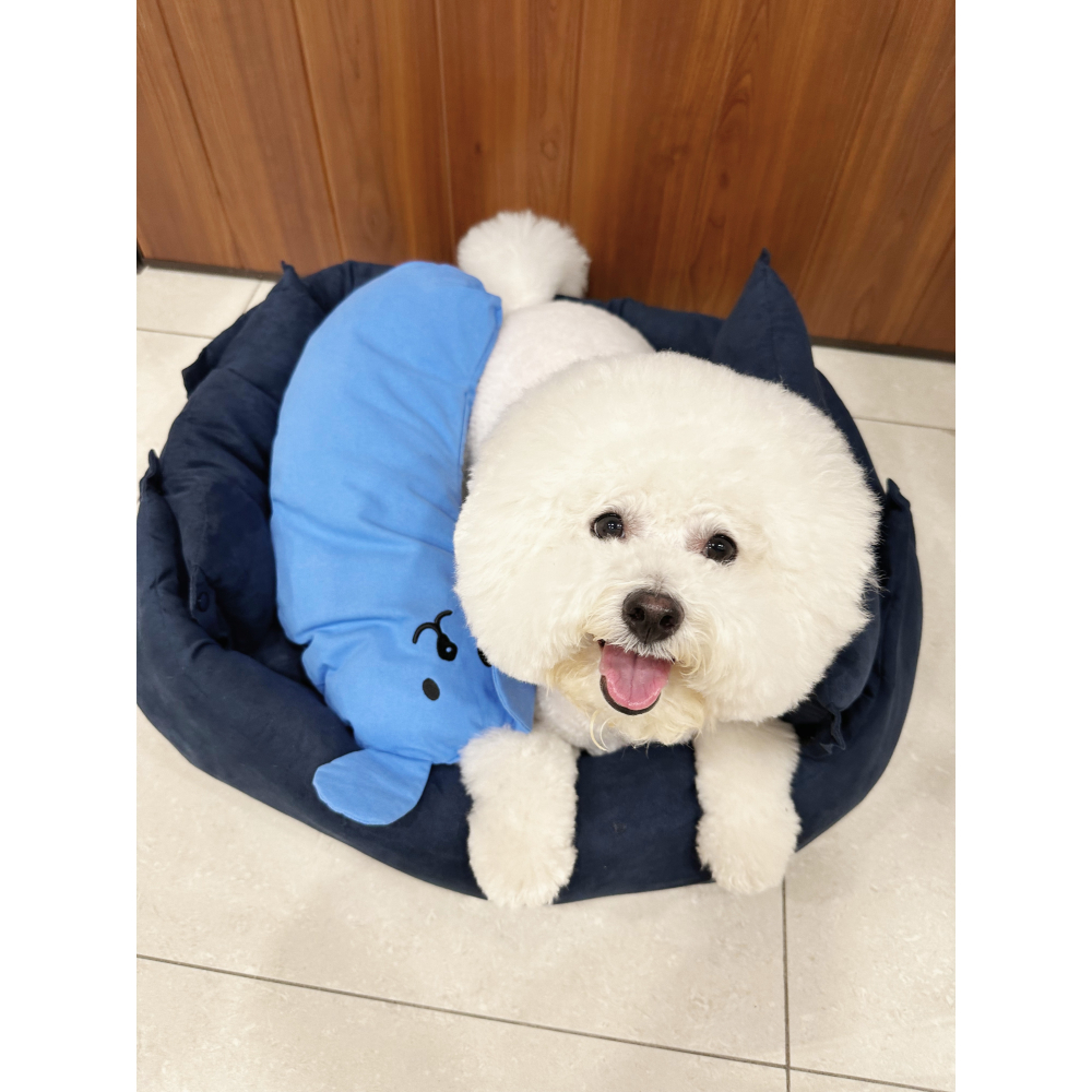 【汪喵森活】 13色 寵物枕頭 寵物靠枕 寵物抱枕 狗狗枕頭 U型枕 貓咪枕頭 保護頸椎 寵物窩 寵物護頸枕 寵物小枕頭-細節圖10