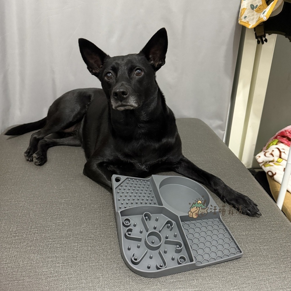 【汪喵森活】 舔食墊 寵物舔食墊 舔舔墊 矽膠慢食墊 寵物慢食墊 狗狗慢食碗 矽膠防噎餐墊 寵物餐盤 帶吸盤 紓壓玩具-細節圖4