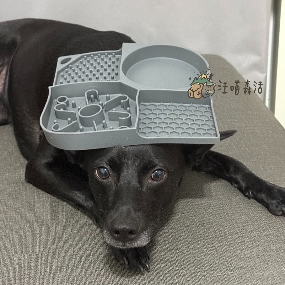 【汪喵森活】 舔食墊 寵物舔食墊 舔舔墊 矽膠慢食墊 寵物慢食墊 狗狗慢食碗 矽膠防噎餐墊 寵物餐盤 帶吸盤 紓壓玩具-細節圖8
