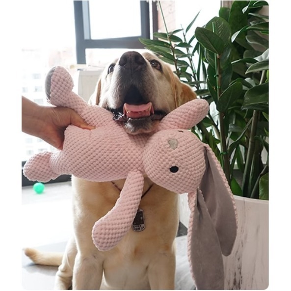 【汪喵森活】 寵物玩具 中大型犬 發聲玩具 兔子大象大熊恐龍 寵物玩偶 互動玩具 磨牙玩具 咬咬玩具 陪伴玩具 狗玩具-細節圖2