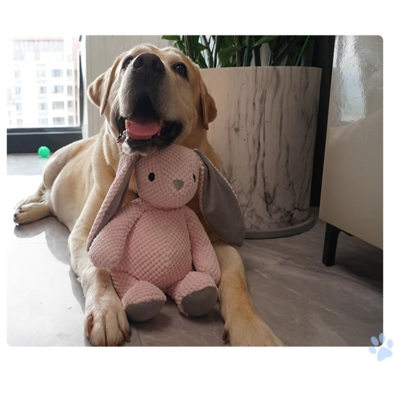 【汪喵森活】 寵物玩具 中大型犬 發聲玩具 兔子大象大熊恐龍 寵物玩偶 互動玩具 磨牙玩具 咬咬玩具 陪伴玩具 狗玩具-細節圖3