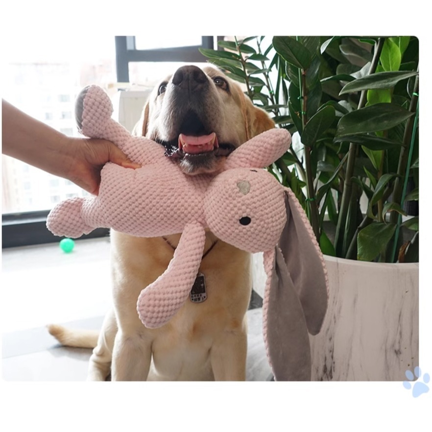【汪喵森活】 寵物玩具 中大型犬 發聲玩具 兔子大象大熊恐龍 寵物玩偶 互動玩具 磨牙玩具 咬咬玩具 陪伴玩具 狗玩具-細節圖4