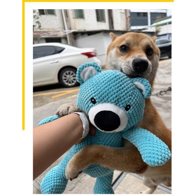 【汪喵森活】 寵物玩具 中大型犬 發聲玩具 兔子大象大熊恐龍 寵物玩偶 互動玩具 磨牙玩具 咬咬玩具 陪伴玩具 狗玩具-細節圖6