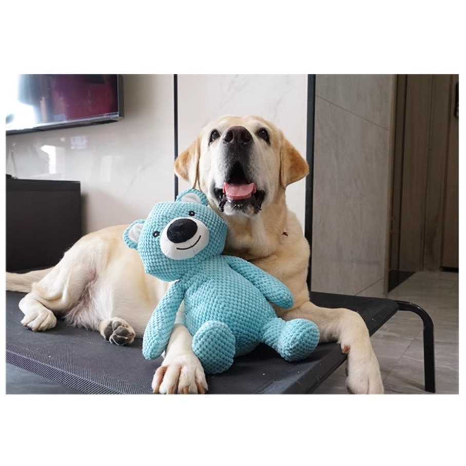 【汪喵森活】 寵物玩具 中大型犬 發聲玩具 兔子大象大熊恐龍 寵物玩偶 互動玩具 磨牙玩具 咬咬玩具 陪伴玩具 狗玩具-細節圖7