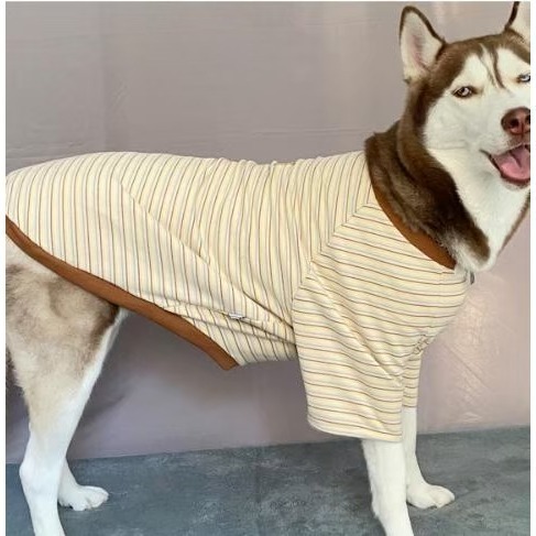 【汪喵森活】4色 小熊標籤 彈力條紋衣 德絨棉衣 狗衣服 黃金獵犬 拉不拉多 薩摩耶 法柴犬 柯基 米克斯 邊境 巨貴-細節圖6