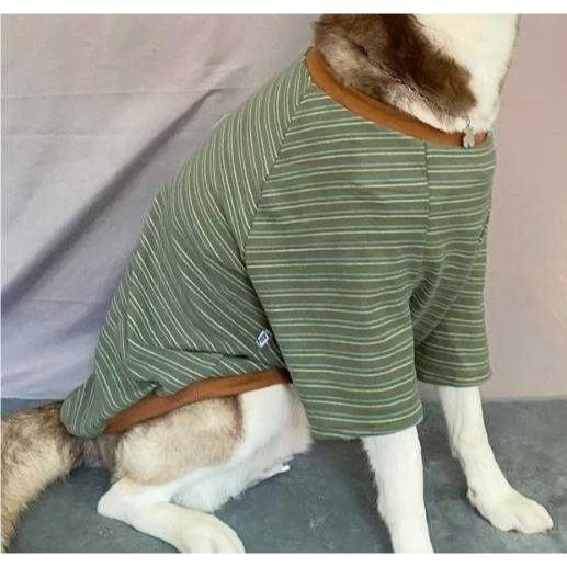 【汪喵森活】4色 小熊標籤 彈力條紋衣 德絨棉衣 狗衣服 黃金獵犬 拉不拉多 薩摩耶 法柴犬 柯基 米克斯 邊境 巨貴-細節圖7