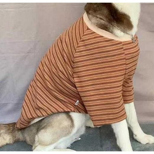 【汪喵森活】4色 小熊標籤 彈力條紋衣 德絨棉衣 狗衣服 黃金獵犬 拉不拉多 薩摩耶 法柴犬 柯基 米克斯 邊境 巨貴-細節圖9