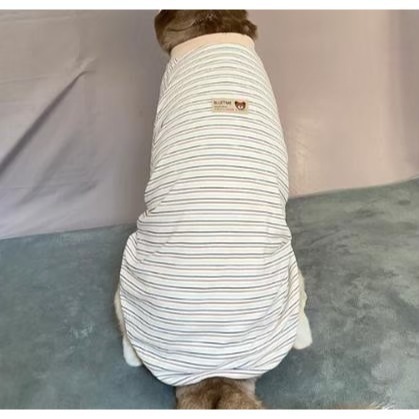 【汪喵森活】4色 小熊標籤 彈力條紋衣 德絨棉衣 狗衣服 黃金獵犬 拉不拉多 薩摩耶 法柴犬 柯基 米克斯 邊境 巨貴-細節圖10