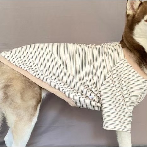 【汪喵森活】4色 小熊標籤 彈力條紋衣 德絨棉衣 狗衣服 黃金獵犬 拉不拉多 薩摩耶 法柴犬 柯基 米克斯 邊境 巨貴-細節圖11