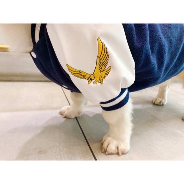 【汪喵森活】 棒球外套 2色 狗外套 寵物外套 秋冬服飾 貴賓狗 狗衣服 米克斯 雪納瑞 西高地 比熊 柯基 寵物服飾-細節圖8