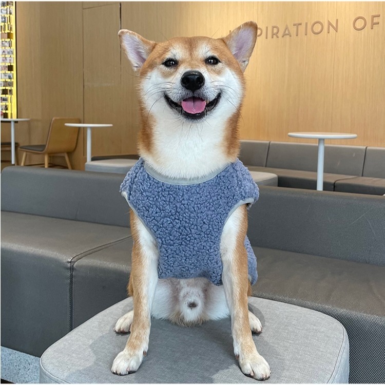 【汪喵森活】雪納瑞刺繡 加絨背心 2色 小口袋 雙色 寵物服飾 秋冬服飾 狗狗衣服 中型犬 小型犬 柯基 柴犬 米克斯-細節圖8