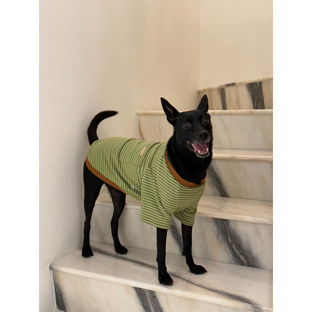 【汪喵森活】4色經典條紋衣 寵物親子裝 開岔下擺 母女裝 父子裝 寵物衣服 秋冬服飾 狗衣服 小型犬服飾 春秋款 貓咪-細節圖9