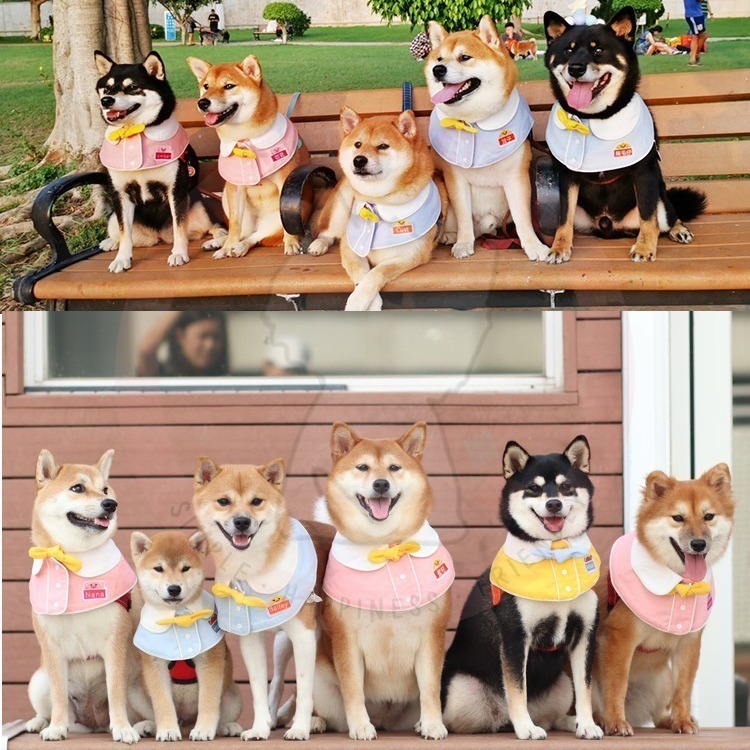 【汪喵森活】幼稚園 寵物口水巾 小學生 客製 訂製 寵物圍兜 狗狗三角巾 貓咪名牌 狗牌 狗狗貓咪口水巾 寵物客製商品-細節圖4