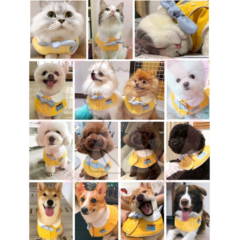 【汪喵森活】幼稚園 寵物口水巾 小學生 客製 訂製 寵物圍兜 狗狗三角巾 貓咪名牌 狗牌 狗狗貓咪口水巾 寵物客製商品-細節圖5