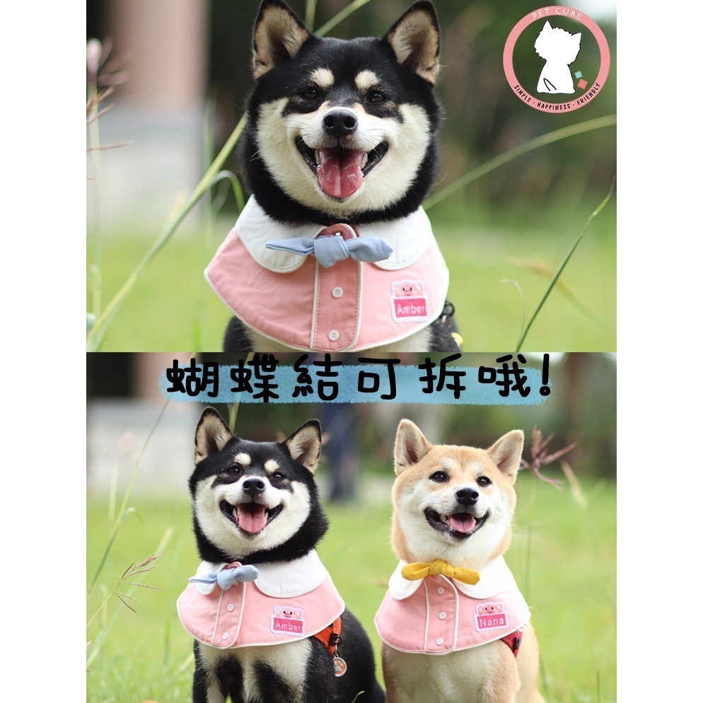 【汪喵森活】幼稚園 寵物口水巾 小學生 客製 訂製 寵物圍兜 狗狗三角巾 貓咪名牌 狗牌 狗狗貓咪口水巾 寵物客製商品-細節圖6