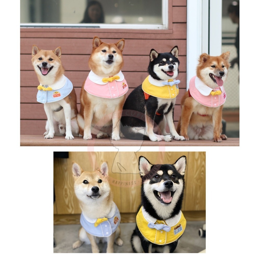 【汪喵森活】幼稚園 寵物口水巾 小學生 客製 訂製 寵物圍兜 狗狗三角巾 貓咪名牌 狗牌 狗狗貓咪口水巾 寵物客製商品-細節圖7