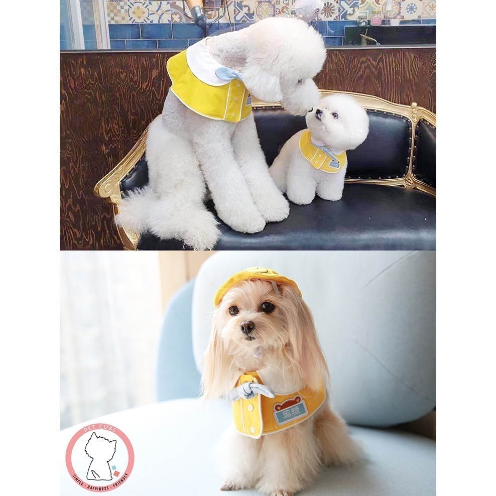 【汪喵森活】幼稚園 寵物口水巾 小學生 客製 訂製 寵物圍兜 狗狗三角巾 貓咪名牌 狗牌 狗狗貓咪口水巾 寵物客製商品-細節圖8