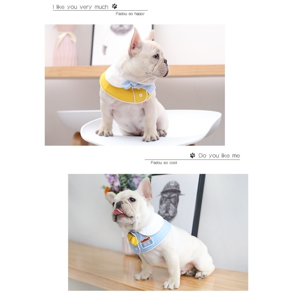 【汪喵森活】幼稚園 寵物口水巾 小學生 客製 訂製 寵物圍兜 狗狗三角巾 貓咪名牌 狗牌 狗狗貓咪口水巾 寵物客製商品-細節圖9