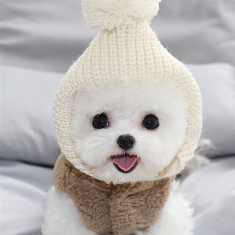 【汪喵森活】毛球帽子 2色 針織背心 寵物服飾 比熊 博美 貴賓 貓咪 小型犬 吉娃娃 雪納瑞 西施 貓衣服 西高地-細節圖6