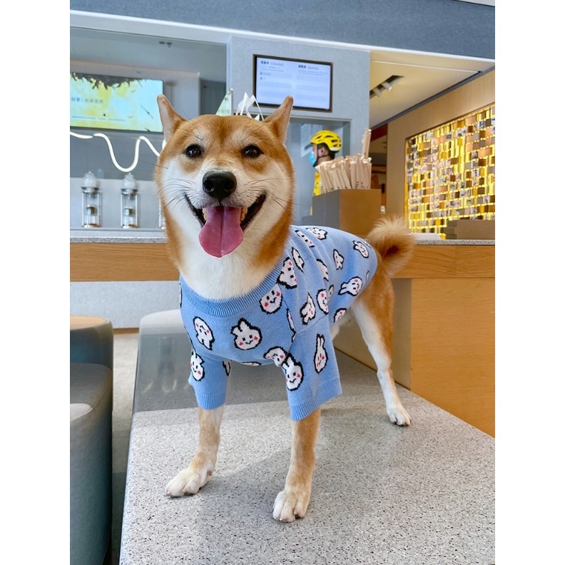 【汪喵森活】藍色兔兔 毛衣 包芯紗 寵物服飾 秋冬服飾 狗衣服 中型犬服飾 高地 比熊 柯基 法鬥 柴犬 米克斯 土狗-細節圖5