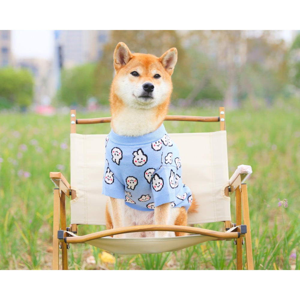 【汪喵森活】藍色兔兔 毛衣 包芯紗 寵物服飾 秋冬服飾 狗衣服 中型犬服飾 高地 比熊 柯基 法鬥 柴犬 米克斯 土狗-細節圖7