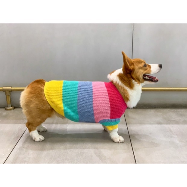 【汪喵森活】彩虹毛衣 大狗衣服 寵物毛衣 秋冬服飾 貴賓狗 中型犬服飾 雪納瑞 西高地 比熊 柯基 法鬥 柴犬 米克斯-細節圖5