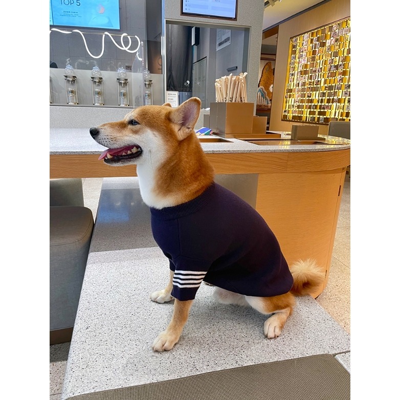 【汪喵森活】乖學生毛衣 2色 包芯紗 寵物服飾 秋冬服飾 狗衣服 中型犬服飾 雪納瑞 西高地 柯基 法鬥 柴犬 米克斯-細節圖7
