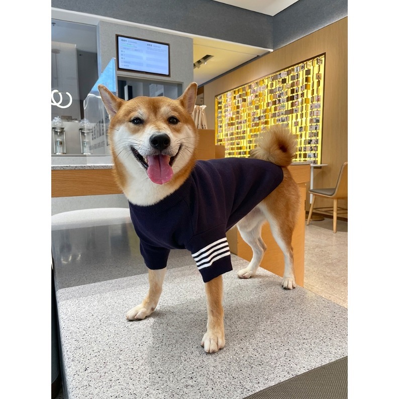 【汪喵森活】乖學生毛衣 2色 包芯紗 寵物服飾 秋冬服飾 狗衣服 中型犬服飾 雪納瑞 西高地 柯基 法鬥 柴犬 米克斯-細節圖8