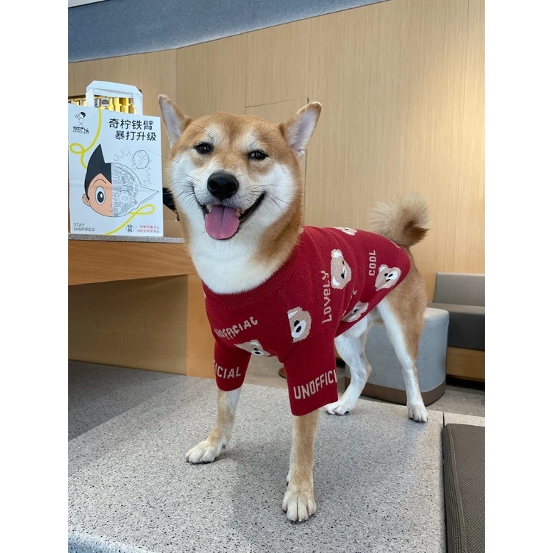 【汪喵森活】小熊毛衣 酒紅色 寵物服飾 秋冬服飾 狗衣服 寵物 春節 過年衣服 西高地 比熊 柯基 法鬥 柴犬 米克斯-細節圖3