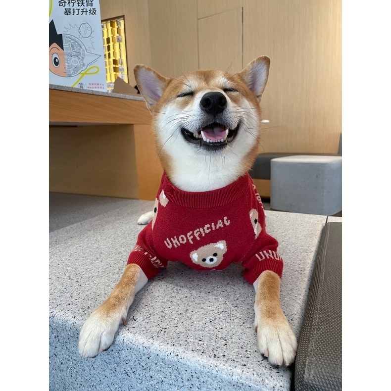 【汪喵森活】小熊毛衣 酒紅色 寵物服飾 秋冬服飾 狗衣服 寵物 春節 過年衣服 西高地 比熊 柯基 法鬥 柴犬 米克斯-細節圖5