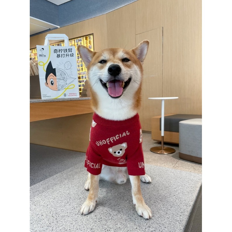 【汪喵森活】小熊毛衣 酒紅色 寵物服飾 秋冬服飾 狗衣服 寵物 春節 過年衣服 西高地 比熊 柯基 法鬥 柴犬 米克斯-細節圖7