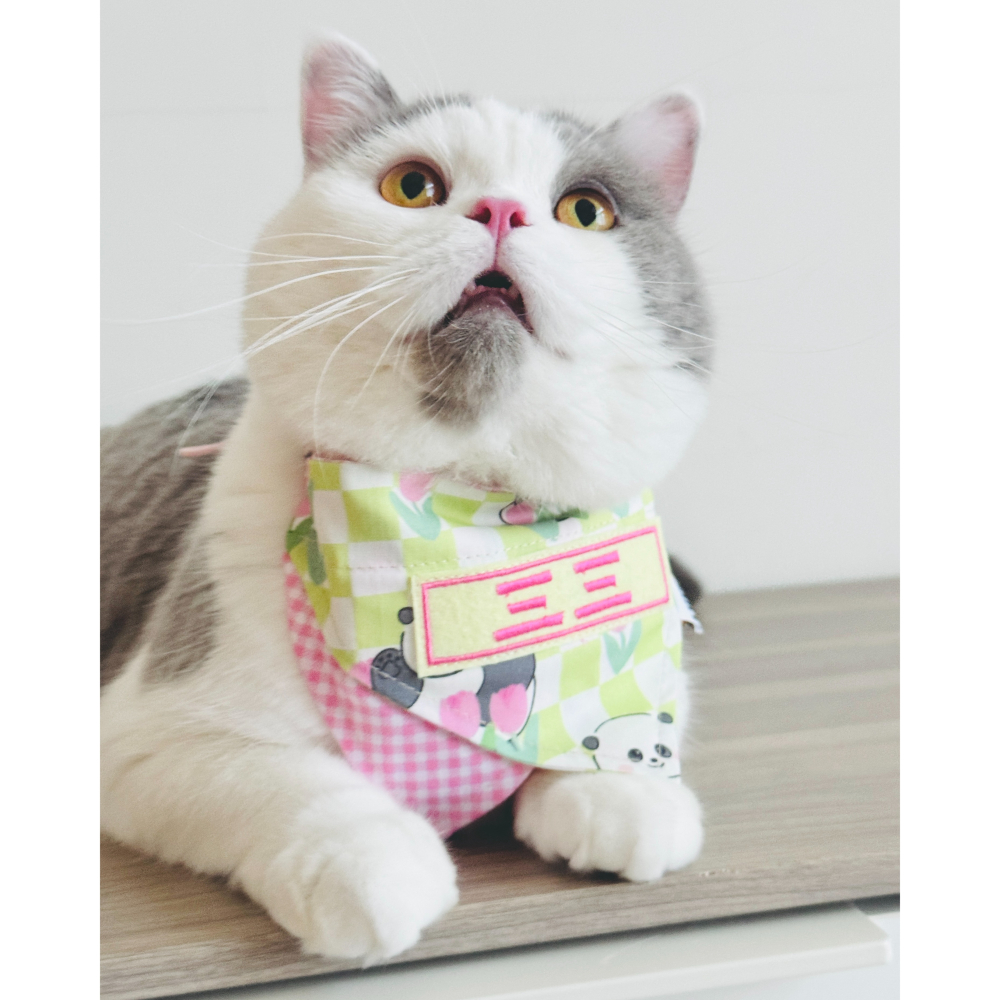 【汪喵森活】 寵物口水巾 21款 雙面可帶 可調節 可愛圖案 寵物圍兜 狗狗三角巾 客製三角巾 客製口水巾 狗狗口水巾-細節圖2