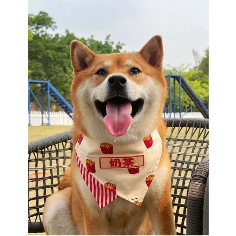 【汪喵森活】 寵物口水巾 21款 雙面可帶 可調節 可愛圖案 寵物圍兜 狗狗三角巾 客製三角巾 客製口水巾 狗狗口水巾-細節圖4