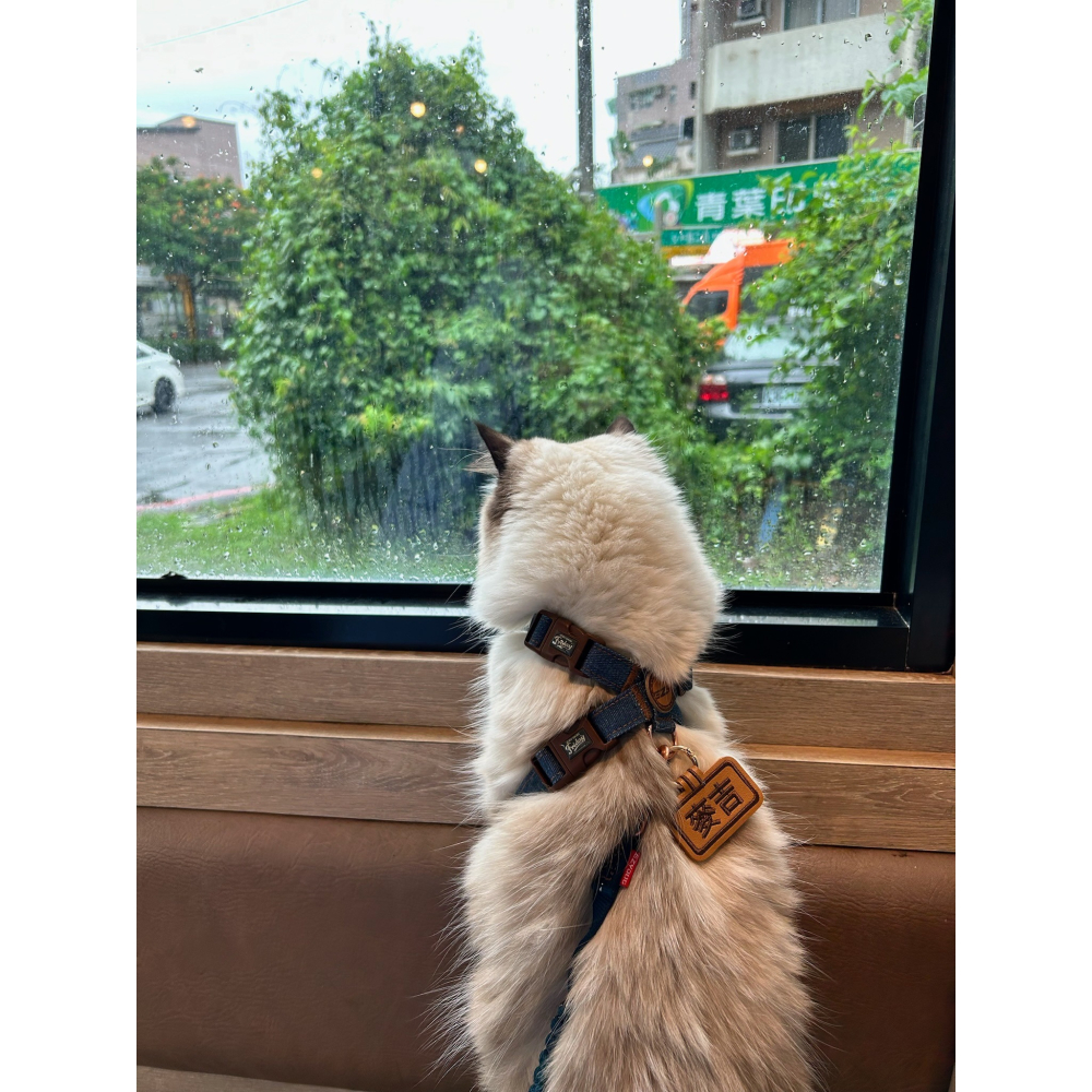 【汪喵森活】 皮質狗牌 皮革狗牌 狗狗名牌 狗狗刺繡名牌 狗牌訂製防丟名牌 狗名牌吊飾 刺繡狗牌 寵物名牌 客製狗牌-細節圖3