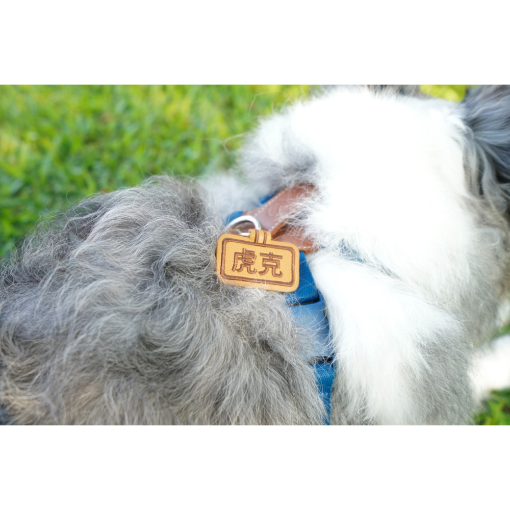 【汪喵森活】 皮質狗牌 皮革狗牌 狗狗名牌 狗狗刺繡名牌 狗牌訂製防丟名牌 狗名牌吊飾 刺繡狗牌 寵物名牌 客製狗牌-細節圖4
