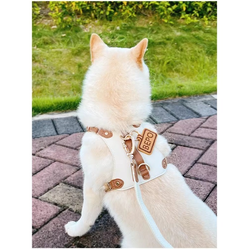 【汪喵森活】 皮質狗牌 皮革狗牌 狗狗名牌 狗狗刺繡名牌 狗牌訂製防丟名牌 狗名牌吊飾 刺繡狗牌 寵物名牌 客製狗牌-細節圖7