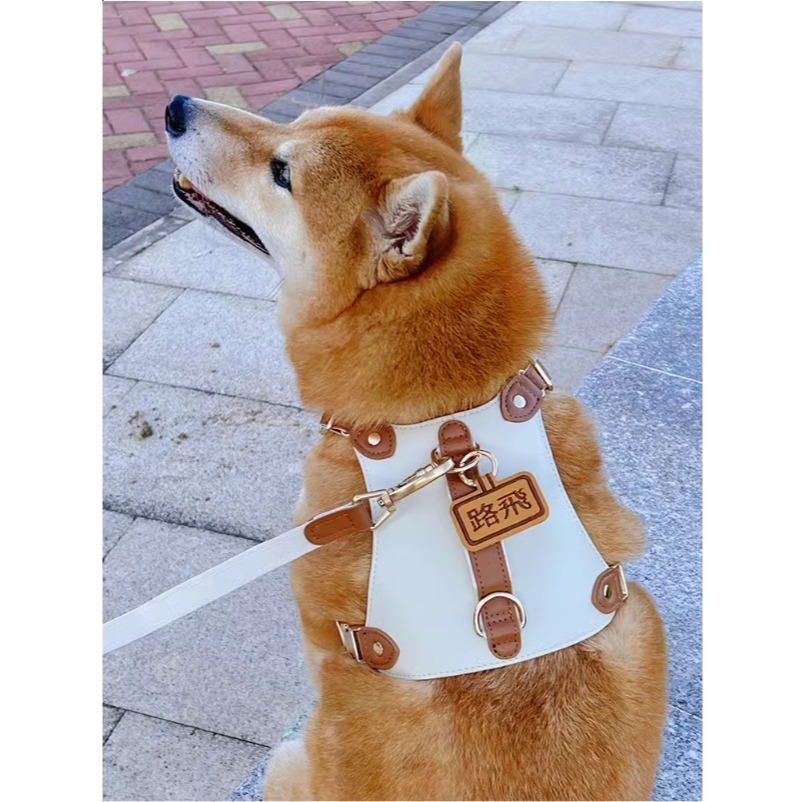 【汪喵森活】 皮質狗牌 皮革狗牌 狗狗名牌 狗狗刺繡名牌 狗牌訂製防丟名牌 狗名牌吊飾 刺繡狗牌 寵物名牌 客製狗牌-細節圖8