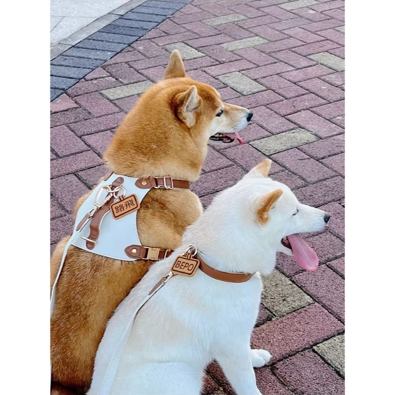 【汪喵森活】 皮質狗牌 皮革狗牌 狗狗名牌 狗狗刺繡名牌 狗牌訂製防丟名牌 狗名牌吊飾 刺繡狗牌 寵物名牌 客製狗牌-細節圖9