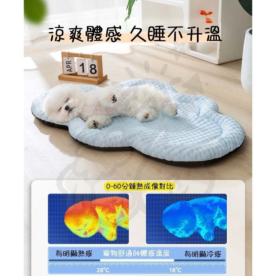 【汪喵森活】雲朵3D 寵物涼墊 帶枕睡墊 降溫 涼感 柯基 法鬥 柴犬 比熊 臘腸 寵物床 睡窩 涼墊 夏季睡墊 夏天-細節圖2