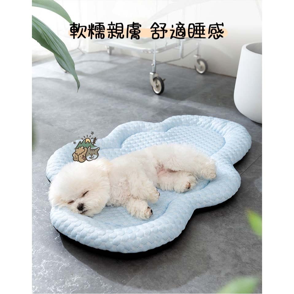 【汪喵森活】雲朵3D 寵物涼墊 帶枕睡墊 降溫 涼感 柯基 法鬥 柴犬 比熊 臘腸 寵物床 睡窩 涼墊 夏季睡墊 夏天-細節圖6