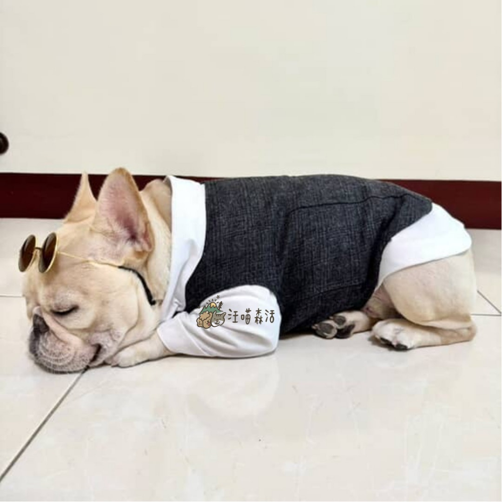 【台灣賣家】 寵物西裝 狗西裝 狗禮服 寵物衣服 寵物禮服 柯基 柴犬 婚禮 寵物襯衫 寵物生日 婚紗照 紅色黑色蝴蝶結-細節圖5