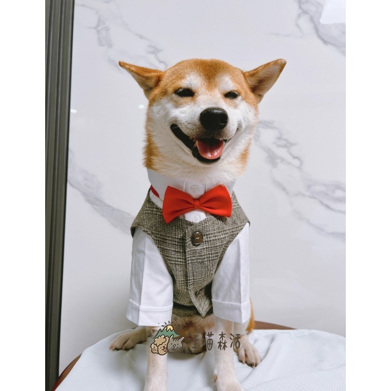 【台灣賣家】 寵物西裝 狗西裝 狗禮服 寵物衣服 寵物禮服 柯基 柴犬 婚禮 寵物襯衫 寵物生日 婚紗照 紅色黑色蝴蝶結-細節圖8