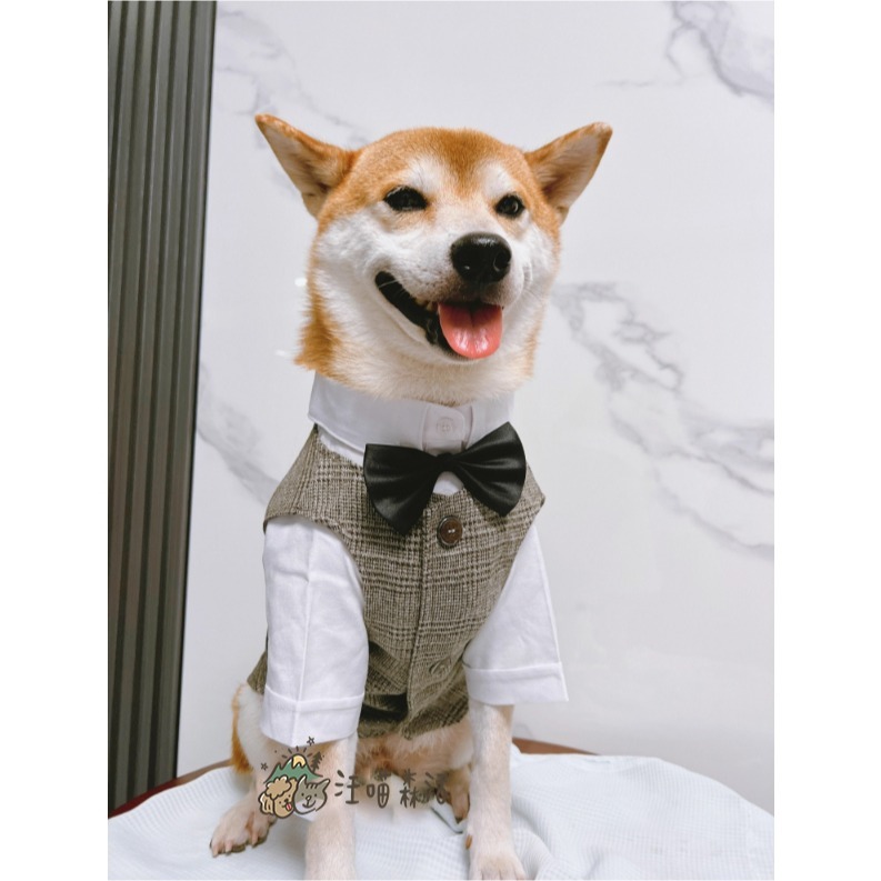 【台灣賣家】 寵物西裝 狗西裝 狗禮服 寵物衣服 寵物禮服 柯基 柴犬 婚禮 寵物襯衫 寵物生日 婚紗照 紅色黑色蝴蝶結-細節圖9