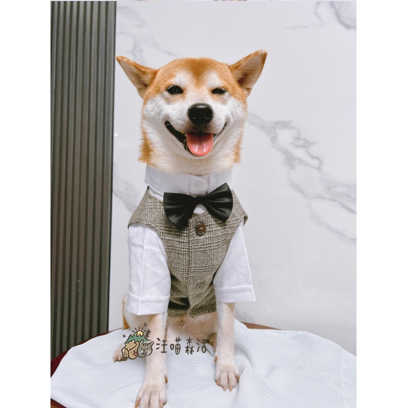 【台灣賣家】 寵物西裝 狗西裝 狗禮服 寵物衣服 寵物禮服 柯基 柴犬 婚禮 寵物襯衫 寵物生日 婚紗照 紅色黑色蝴蝶結-細節圖10