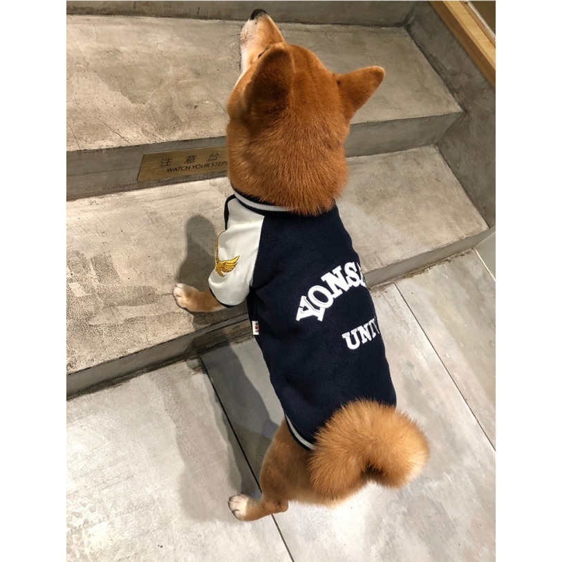 【汪喵森活✨】潮流 棒球外套 寵物外套 秋冬服飾 狗衣服 中型犬 小型犬服飾 雪納瑞 米克斯 比熊 柯基 法鬥 柴犬-細節圖5