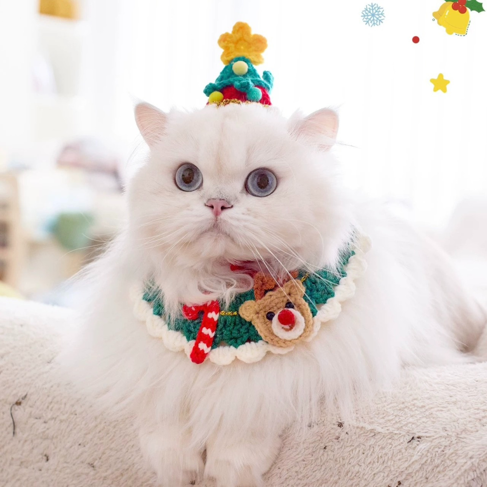 【汪喵森活】 寵物圍巾 聖誕老人 麋鹿 拐杖 針織圍巾 聖誕圍巾 狗圍巾 狗圍脖 貓咪圍巾 寵物配件 聖誕節 過年-細節圖7